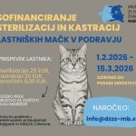 Akcija sofinanciranja sterilizacij in kastracij lastniških mačk v Podravju